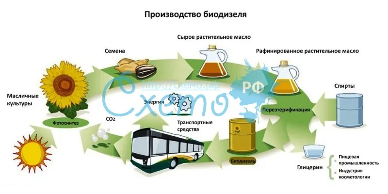 Производство биодизеля