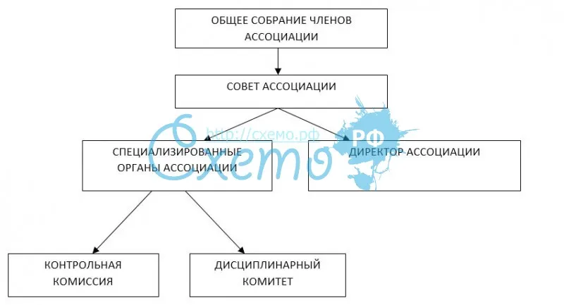 Ассоциация, организационная структура