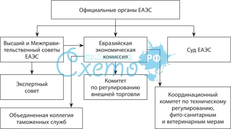 Евразийское экономические сообщество (структура управления)