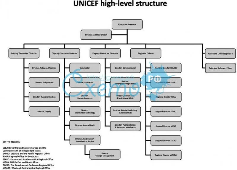 Детский фонд ООН, структура